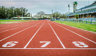 Feature Image 2