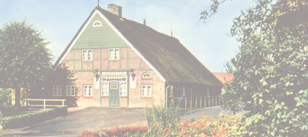 Slide Image 3
